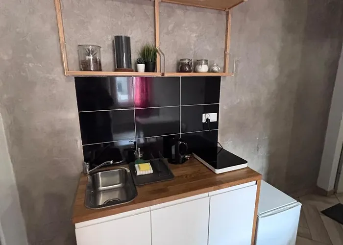 Apartament Zabrska Xv *